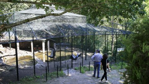 En Avifauna se pueden ver aves de unas 150 especies originarias de todo el mundo. Hay algunas jaulas a las que se puede acceder