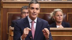 El presidente del Gobierno, Pedro Snchez, interviene durante una sesin de control al Gobierno, en el Congreso de los Diputados