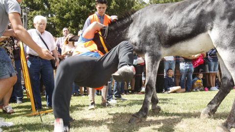 Hubo muchas caídas, pero ningún herido