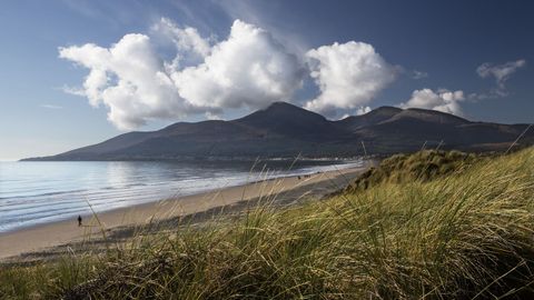 La Reserva Natural Nacional de Murlough es una reserva de dunas de arena de 6.000 a�os de antig�edad situada en el condado de Down, Irlanda del Norte