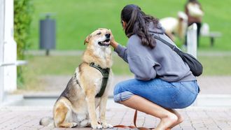 Una mujer cuida a su mascota en un parque de Berl�n