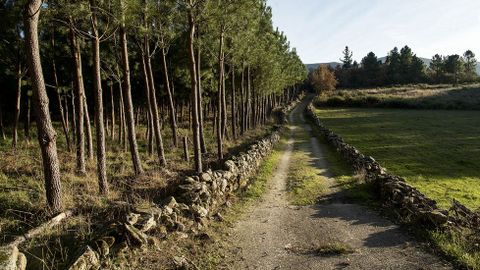 Otro trecho del antiguo camino en Lamas de Brosmos