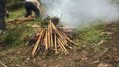 Quema controlada en A Devesa