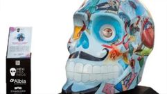 La muestra contar� con cr�neos gigantes sobre la cultura funeraria