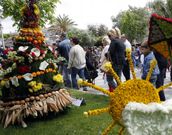 En el Miguel Hern�ndez se podr�n contemplar cerca de sesenta maios