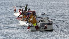 Foto de archivo de la campa�a marisquera de Ribeira