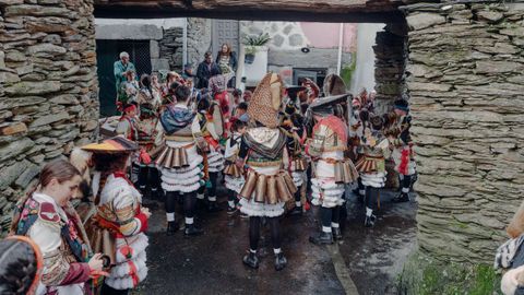 Un grupo de felos en la aldea de Castro de Escuadro (Maceda).