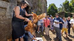 Poxa de galos en San Adri�n de Toba, o ano pasado 