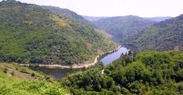 Las cunetas quedaron sin limpiar mayor parte del corredor que discurre por el MI�o. 