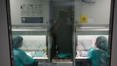 �lbum: Las entra�as del HULA