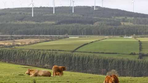 Aerogeneradores de varios de los parques e�licos a orillas de la carretera LU-540 (Xermade-Viveiro).