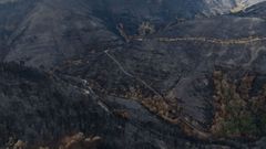 Monta�as de Valdeorras arrasadas tras los incendios