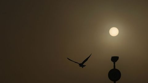Niebla en A Coru�a