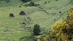 Vista general del Parque Natural de Somiedo, declarado Reserva de la Biosfera en el a�o 2000, y refugio de multitud de especies animales como urogallos, ciervos, lobos y osos.