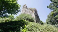 La torre tiene la consideraci�n de Bien de Inter�s Cultural desde los a�os ochenta