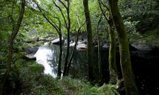 Imagen del r�o Mandeo a su paso por el coto de Chelo, entre Coir�s y Paderne.