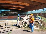 Los trabajos en las instalaciones, abandonadas desde el 2009, empezaron ayer a primera hora. 
