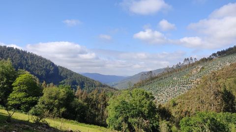 Imagen de archivo de un paisaje de monte gallego