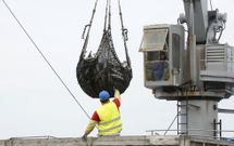 La descarga del atunero �Antilla� comenz� ayer y se prolongar� durante dos semanas. 