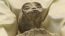 Presentan cuerpos no humanos en Congreso mexicano y piden reconocer la vida extraterrestre