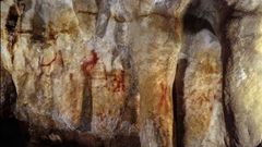 Pintadas hechas por neandertales hace unos 115.000 aos