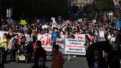 Manifestaci�n del campo asturiano