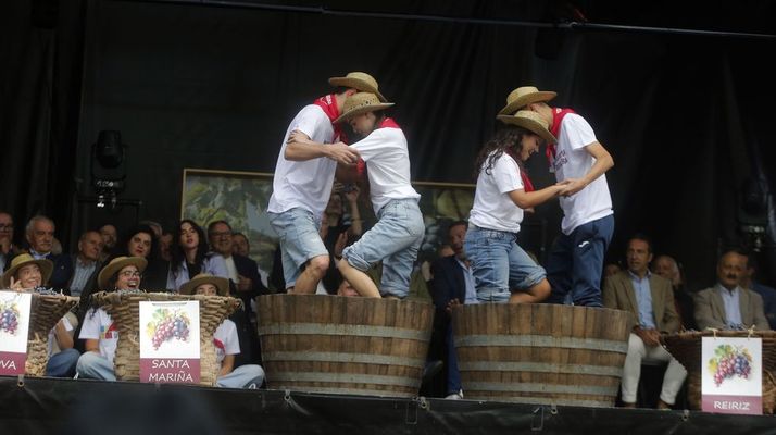 El pisado de uvas es el acto m�s simb�lico del programa de la Festa da Vendima da Ribeira Sacra