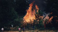 Los incendios son un problema en la provincia desde hace m�s de medio siglo