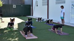 Na imaxe, unha clase de ioga impartida no municipio de Ames