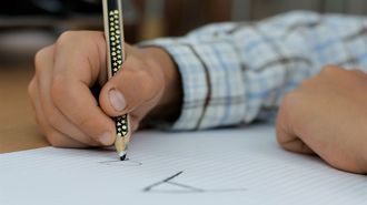 La sentencia insiste en que el hecho de que los ni�os compartan el mismo tiempo con el padre y la madre no debe ser algo excepcional sino normal.