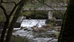 Un paseo por el coto de Chelo