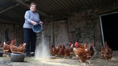 Josefa, d�ndole de comer a las gallinas que tiene en su casa.