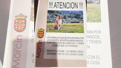 Cartel de advertencia del Ayuntamiento de Morcn