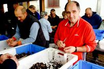 Los percebeiros consiguieron una media de 4 kilos de producto.