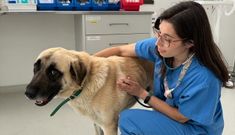 Jessica Blanco es veterinaria en el Hospital Veterinario Universitario Rof Codina de Lugo