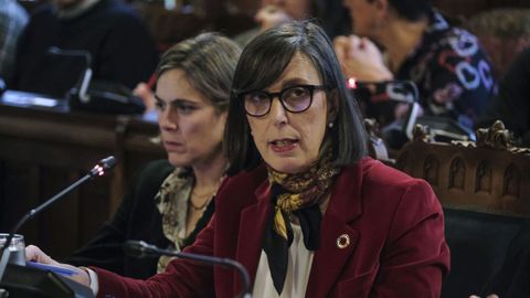 La consejera de Transicin Ecolgica, Industria y Desarrollo Econmico, Nieves Roque, presenta las cuentas de su departamento para el2024 ante la Junta General del Principado