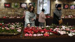 Exposici�n de la camelia en el pazo de Goians
