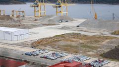 Coches de SAIC en el puerto exterior que fueron descargados en julio