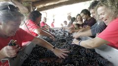 Turistas participando en la �ltima vendimia en una bodega de Pant�n.