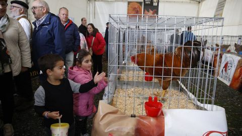 Expodegustación de Galiña de Mos el año pasado