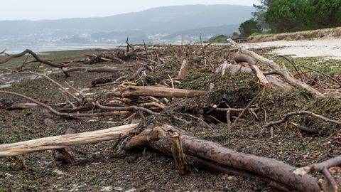 La madera ca�da en la playa de Lourido (Pontevedra) a causa del temporal.