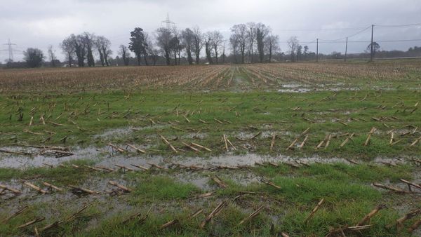Campos anegados en Xust&aacute;s (Cospeito), en una zona donde suele haber cuiltivo de ma&iacute;z