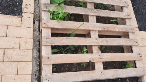 Detalle del estado de las obras en Calder�n de la Barca