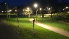 Una captura del v�deo difundido este viernes a trav�s de las redes sociales en el que se ve un jabal� en el paseo fluvial de Monforte