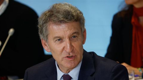 El presidente del Partido Popular, Alberto Núñez Feijoo, en el comité ejecutivo nacional de su formación el pasado 3 de noviembre.