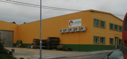 Los ganaderos de la cooperativa O Rodo comercializan su leche con varias empresas diferentes. 