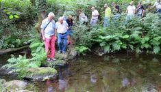 El r�o Toldaos, bastante caudaloso en alg�n punto, cruza una gran parte de la gigantesca finca.