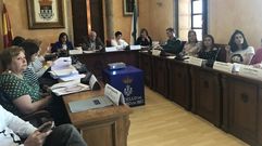 O Concello de Outeiro de Rei constitu�u hai dous anos e medio unha Mesa de Coordinaci�n contra a Violencia de X�nero