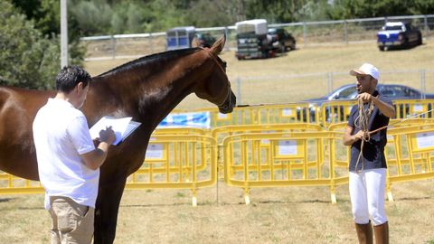 Mostra Cabalar