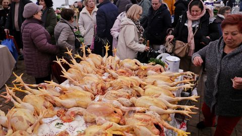 La Feira do Galo celebra este 2025 su 34.� edici�n con limitaciones por la gripe aviar